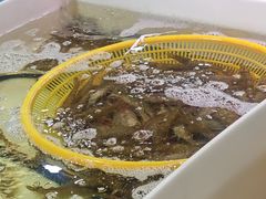 -韩家墅海吉星农产品批发市场