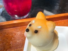 -柴犬高等学院·狗咖·柴犬售卖·宠物训练