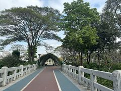 -文华公园(禅城区)