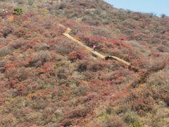 -水峪民俗村