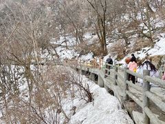 -少华山国家森林公园