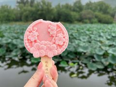 -国家植物园