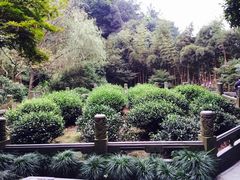-十八棵（老龙井）御茶园(老龙井店)