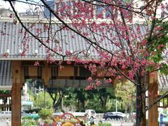 -金山公园
