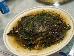 清蒸甲鱼-新旺美食林农家菜(岭南路店)