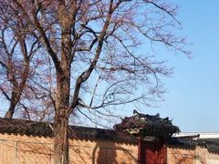 -景福宫
