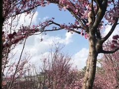 -七彩云南古滇温泉山庄