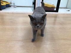 -1013 PET SHOP 宠物商店(近铁城市广场店)
