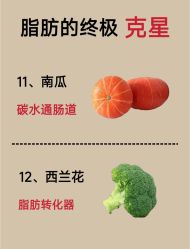 -Fundi张玉珊修身堂·indiba·BTL科技瘦身