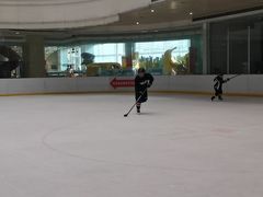 -陈露国际冰上中心(天津嘉里汇店)