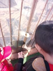 -萌宠亲子动物乐园(槐房万达店)