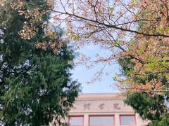 -武汉大学-樱园