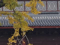 -上海青龙寺