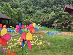 -中铁花水湾四季温泉谷