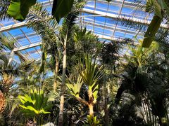 -国家植物园南园