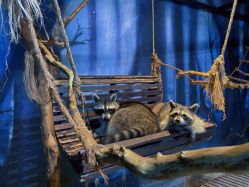 -酷嗒动物文化乐园(cutezoo西溪乐天城店)