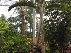 -北京植物园-展览温室