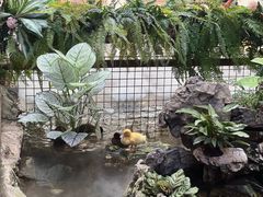 -赛格国际购物中心(小寨店)