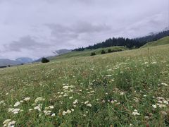 -新疆那拉提国家旅游度假区