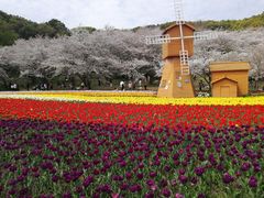 -苏州上方山国家森林公园