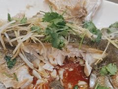 -凤齐羊肉烩面馆
