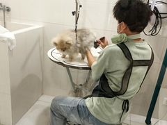 -悠尼宠物·独立低压伊珊娜洗护·美容·寄养(兰谷路店)