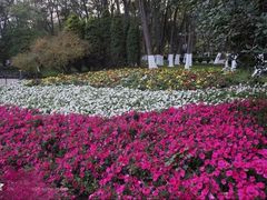 -西宁市人民公园(城西区)