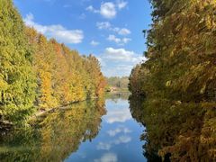 -上海海湾国家森林公园