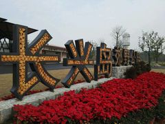 -上海长兴岛郊野公园