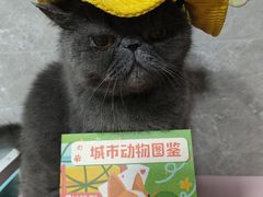 -瑞虹新天地月亮湾