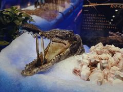 -九月海·海鲜自助(世纪东方店)