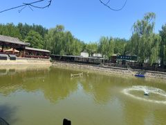 -尚庄度假村·庭台树下·户外烧烤·团建CS·轰趴营地(上庄水库店)