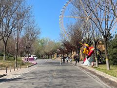 -辛玛王国游乐园