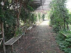 android_upload_pic-梁鸿国家湿地公园