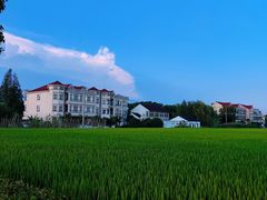 -暮谷MUGO ·团建聚会·露营烧烤·生日派对·共享菜地