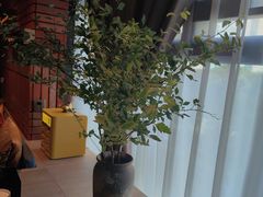 -泰合玺·精油疗愈SPA(狮山天街生活广场店)
