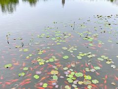 -西海子公园