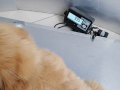 -爱侣宠医·鹦鹉专科·小型哺乳类·异宠专科(灵石路店)