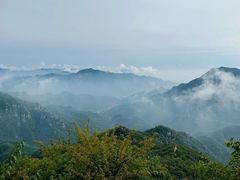 -大岭沟猕猴桃谷风景区