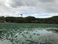 -大阪市立自然史博物馆