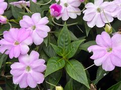 -喜满客影城(汉神广场店)