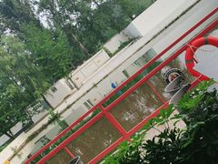 -向外鱼乐·土菜·虹鳟鱼