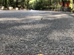 -淇河国家湿地公园