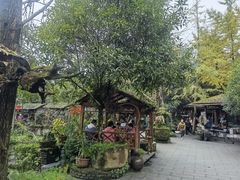 -青城甲(青城山店)