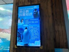 -海合安成都极地海洋公园