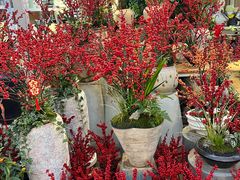 -三圣花乡旅游区