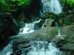 -马峦山郊野公园