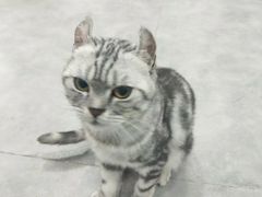 -极木²邸 人与宠物·互动社区