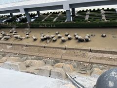 -舟山嵊泗列岛风景名胜区