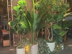 -同仁四季椰子鸡(福田车公庙店)